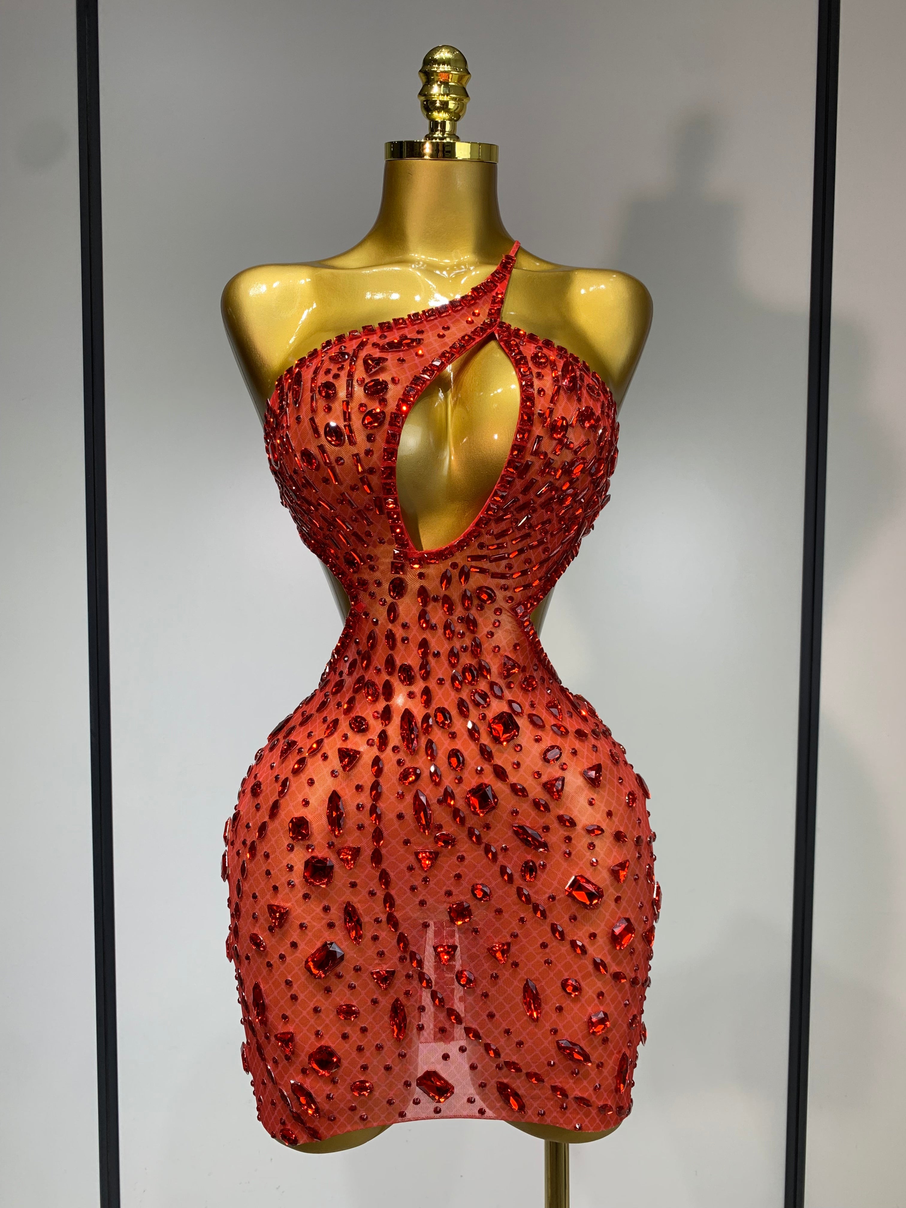 Anaya Mesh Sequins Mini Dress