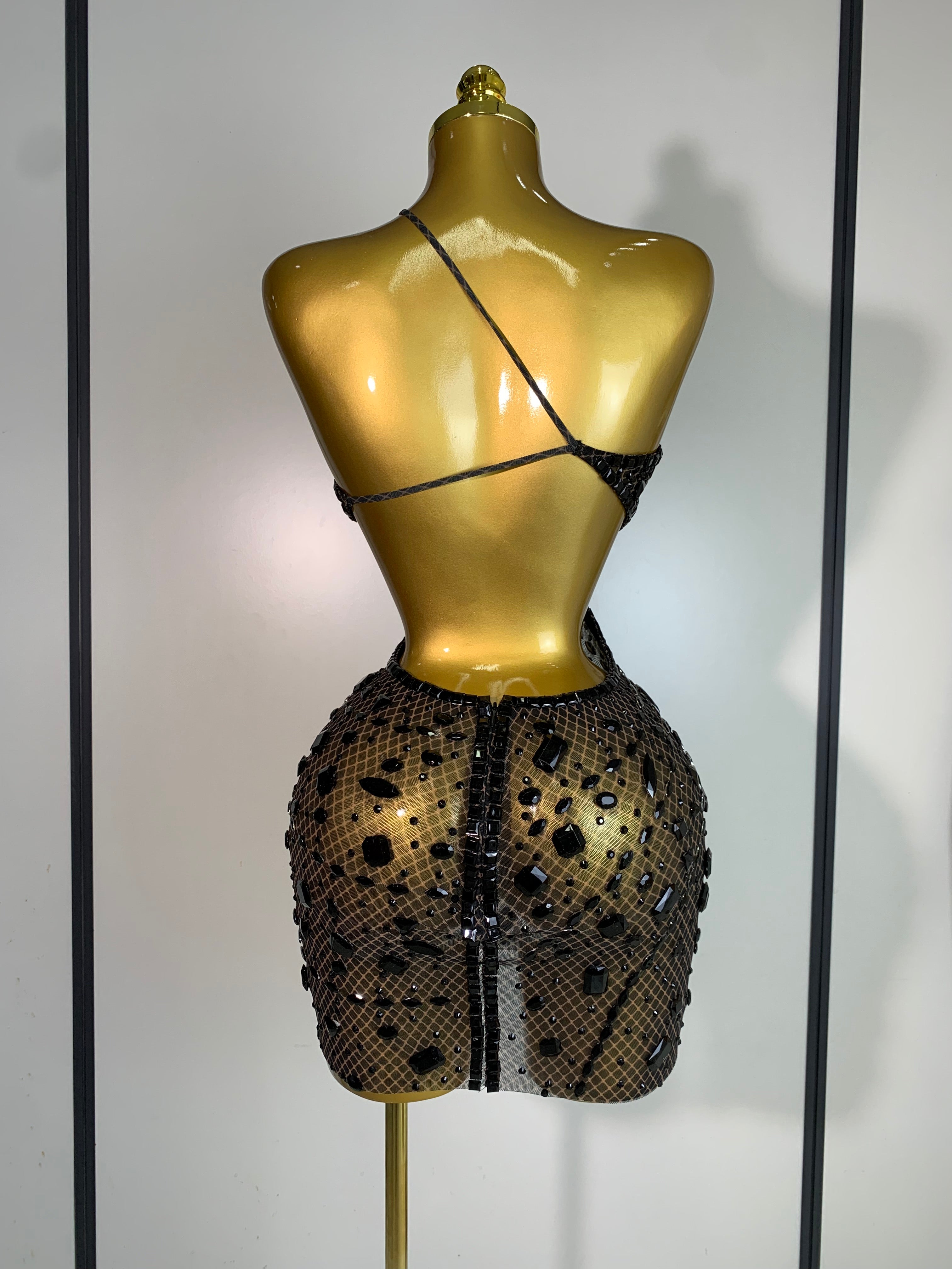 Anaya Mesh Sequins Mini Dress