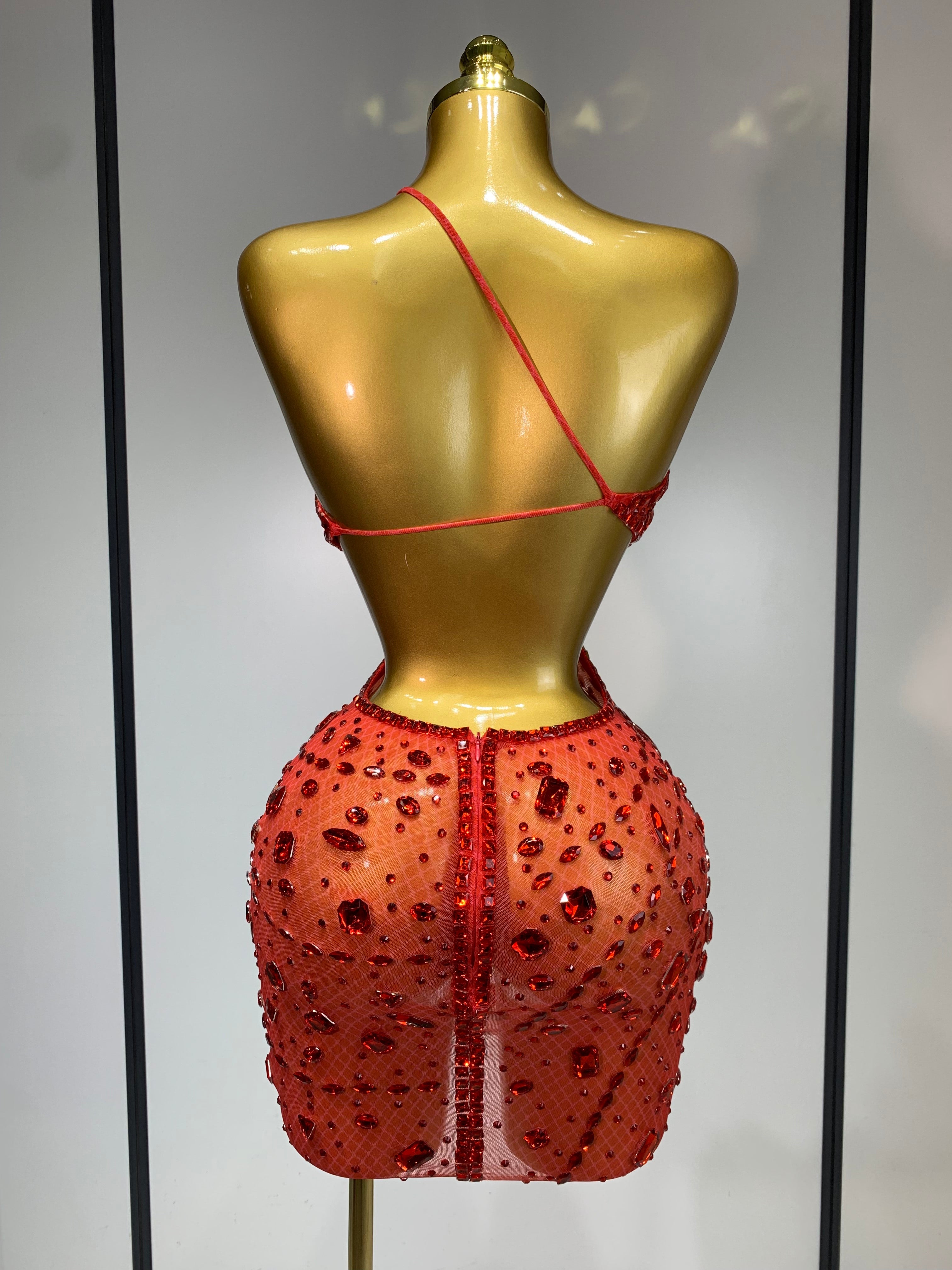 Anaya Mesh Sequins Mini Dress