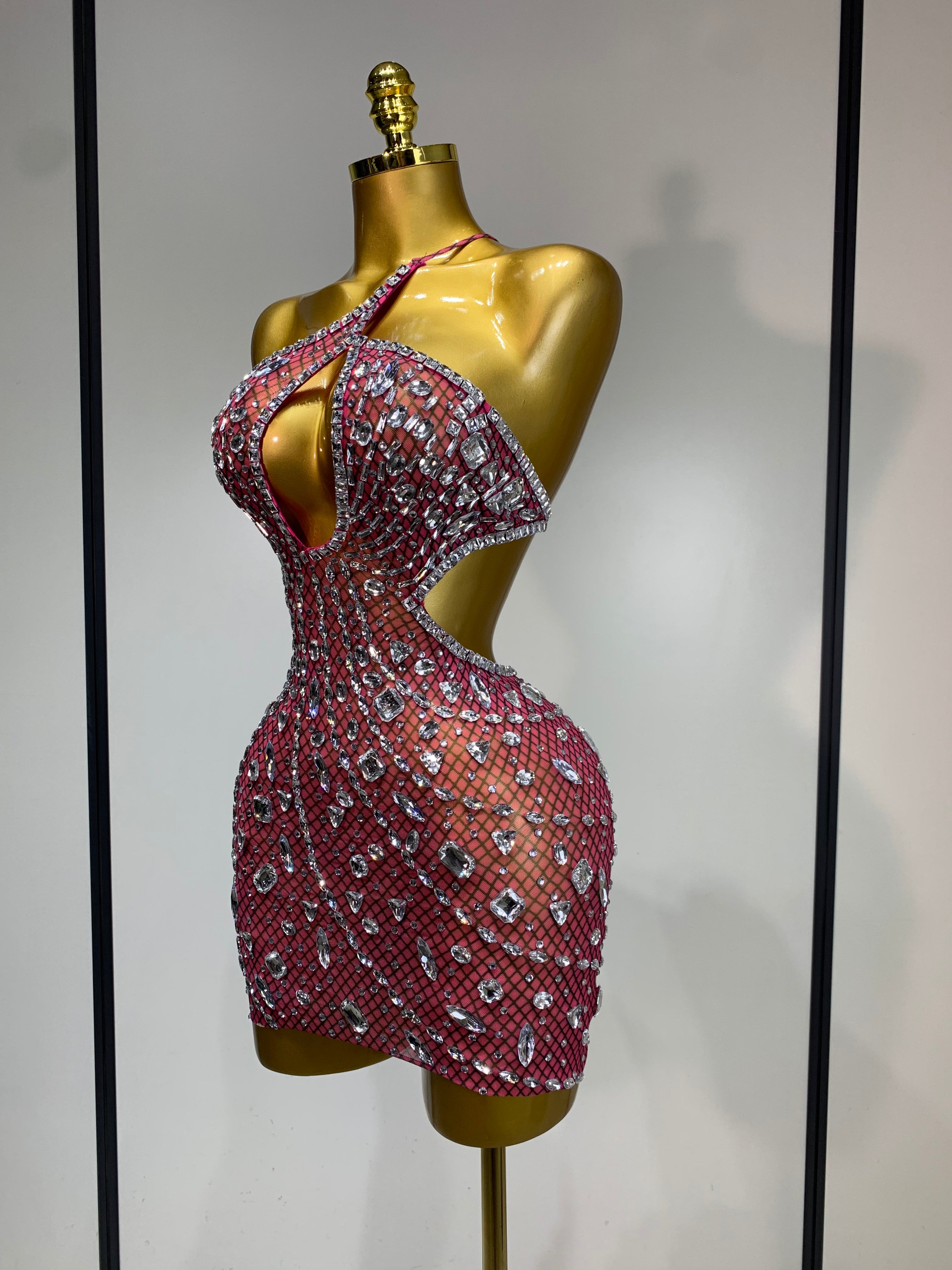 Anaya Mesh Sequins Mini Dress