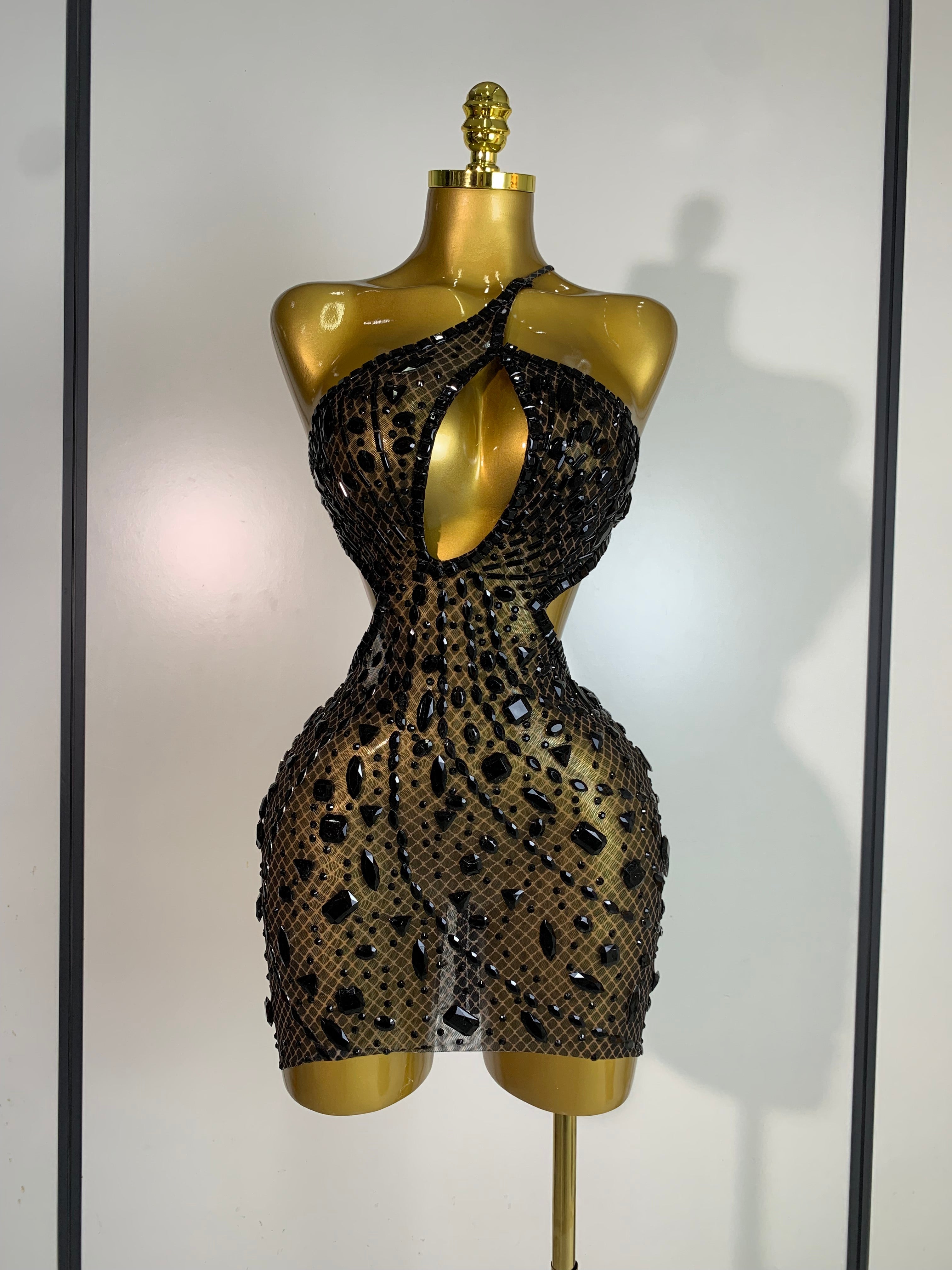 Anaya Mesh Sequins Mini Dress