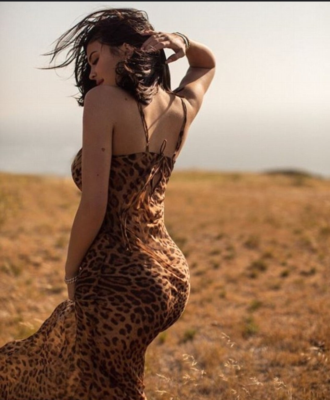 All Leopard Bodycon Mesh Dress