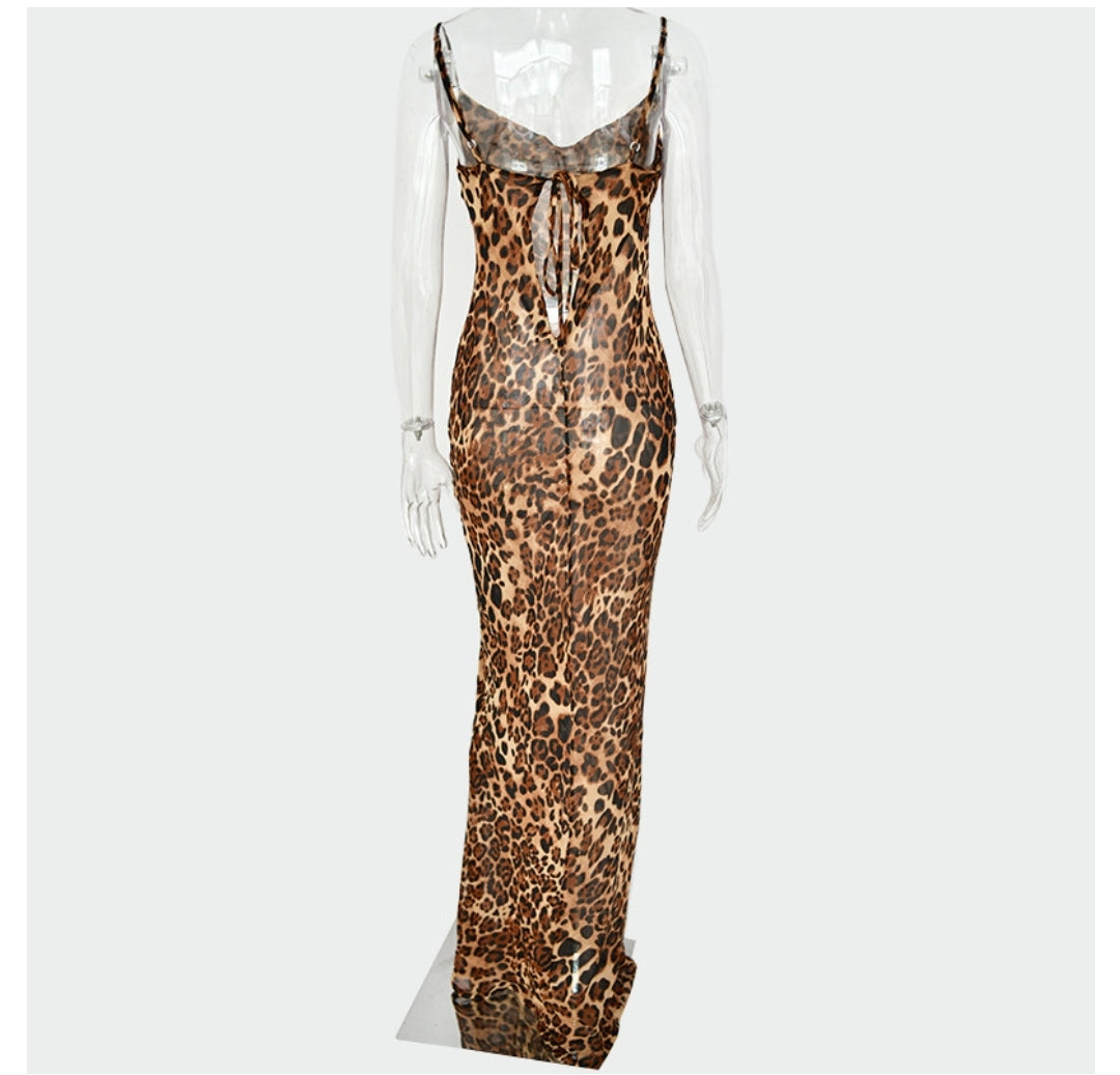 All Leopard Bodycon Mesh Dress