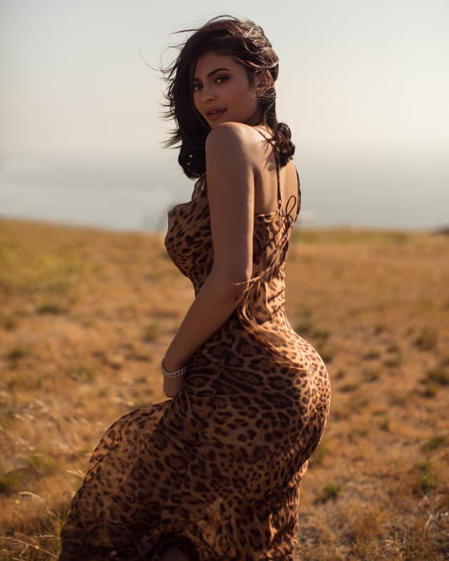 All Leopard Bodycon Mesh Dress
