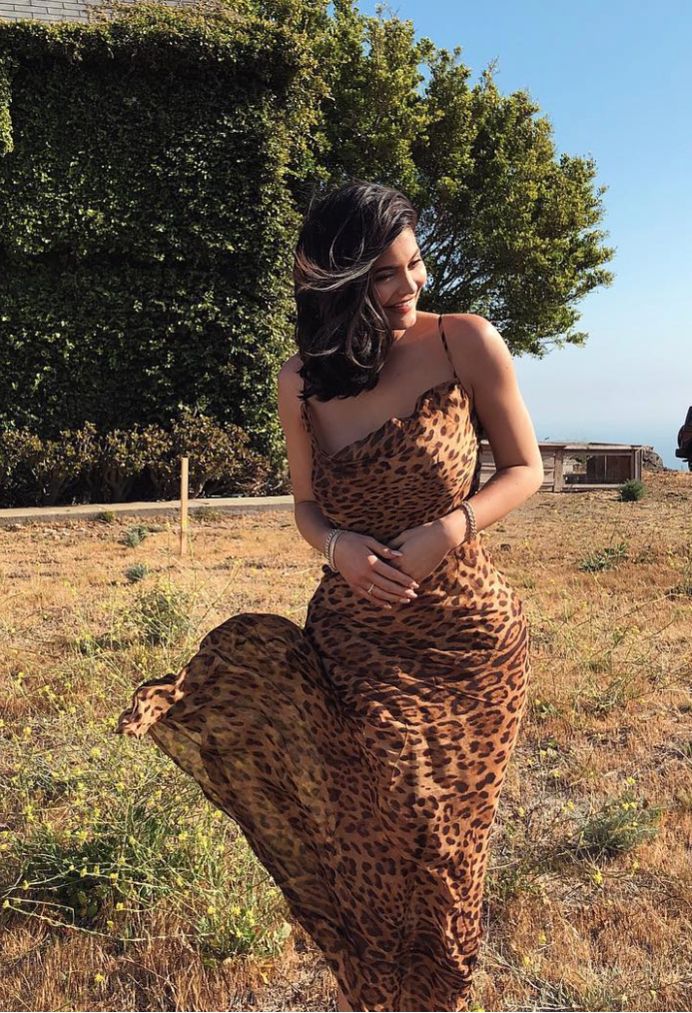 All Leopard Bodycon Mesh Dress