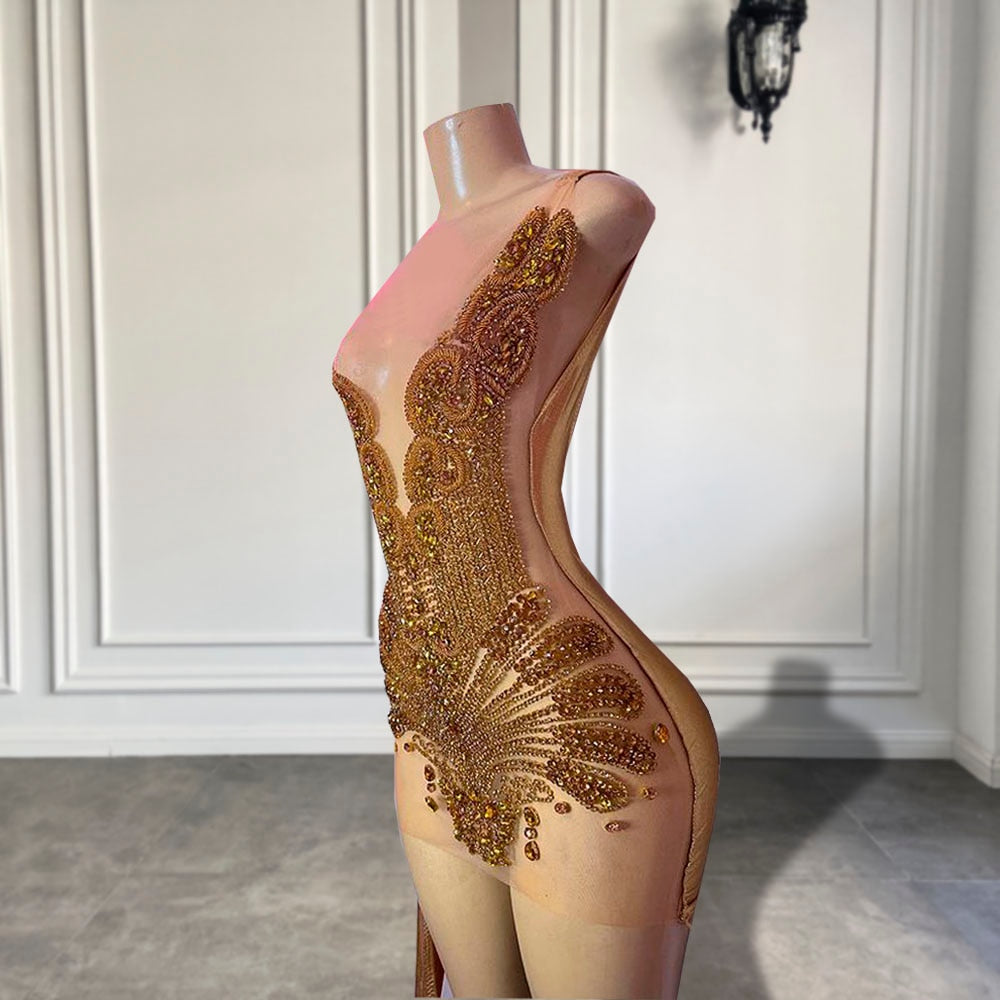 Angel Luxury Sheer Mesh Sparkly Dress