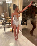 Brenda Mesh Feathers Dress
