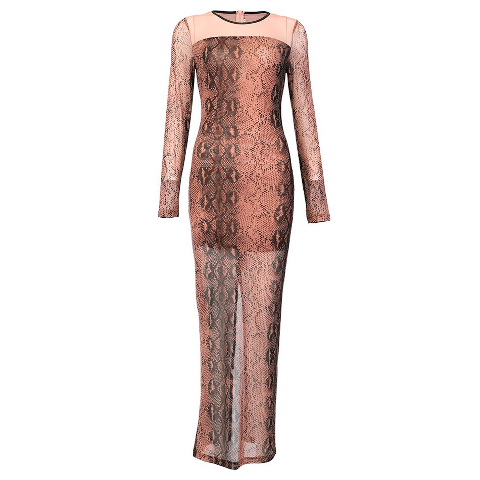 Debbie Sheer Mesh Maxi Dress