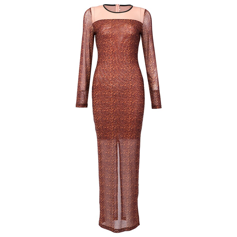 Debbie Sheer Mesh Maxi Dress