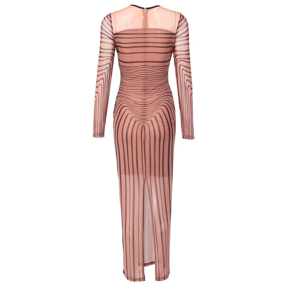 Debbie Sheer Mesh Maxi Dress