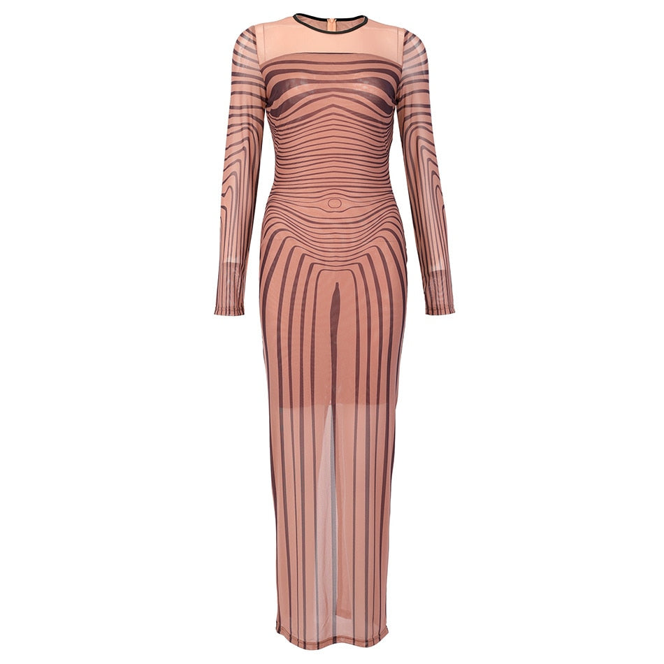 Debbie Sheer Mesh Maxi Dress