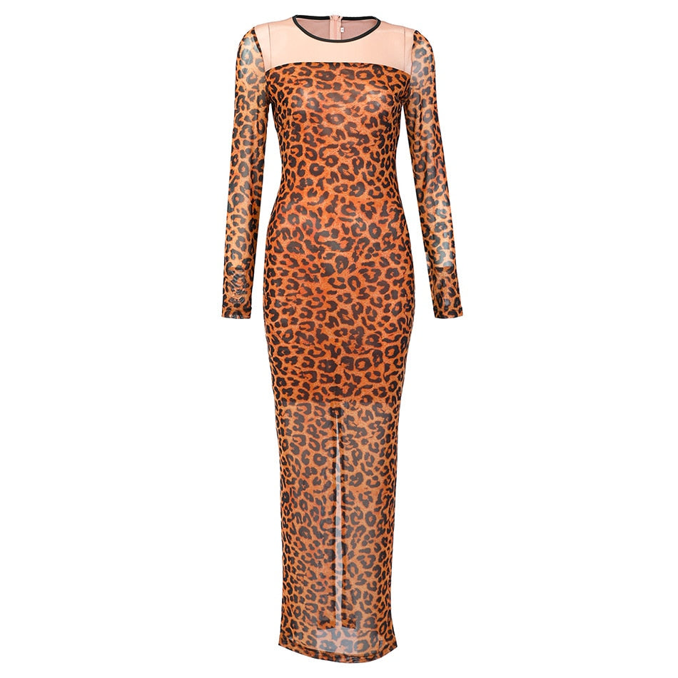 Debbie Sheer Mesh Maxi Dress