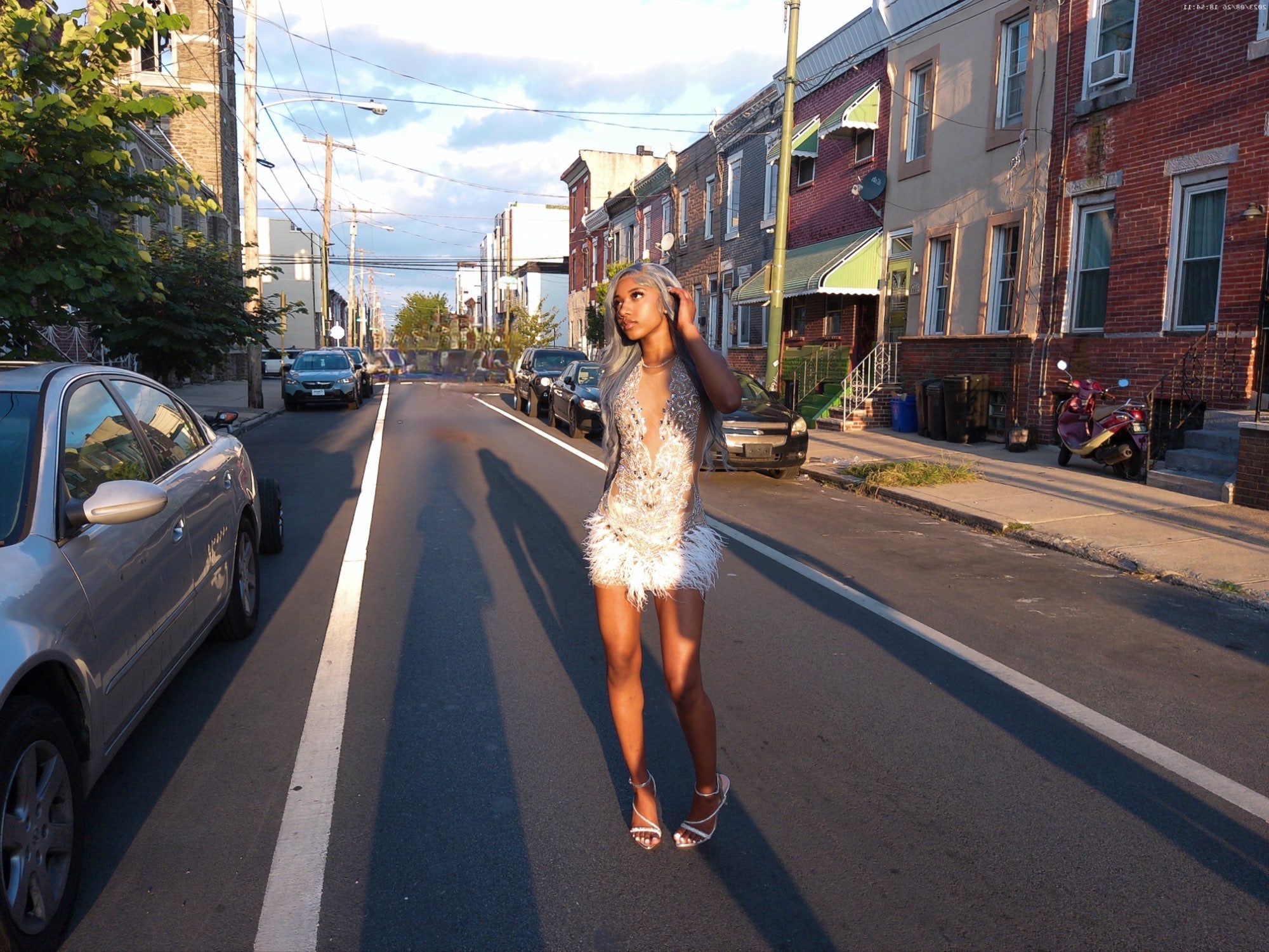 Luxury Beaded Crystal Feather Dress