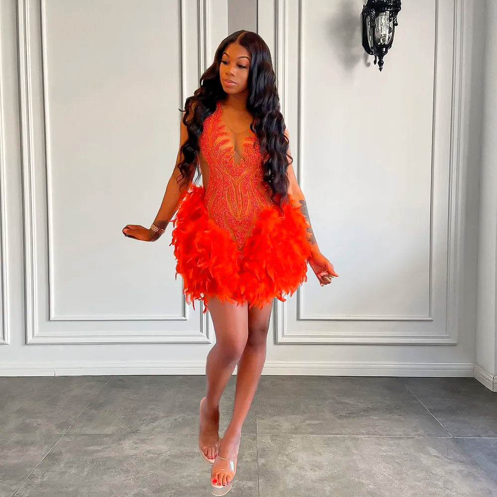 Luxury Sheer Cocktail Feather Dress
