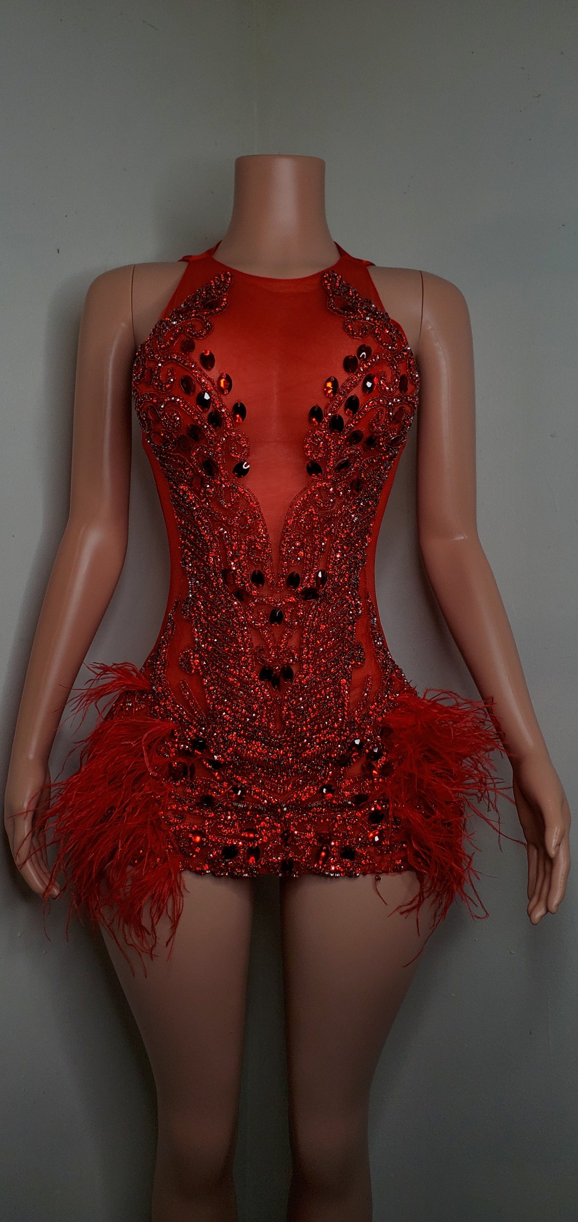 Luxury Sheer Crystal Feather Mini Dress