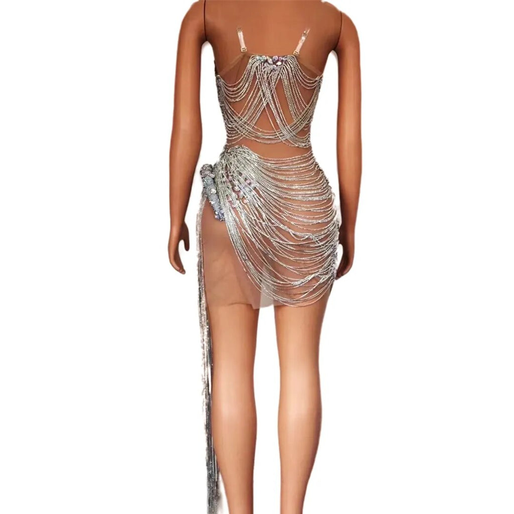 Ms. Bling Fringe Mesh Dress
