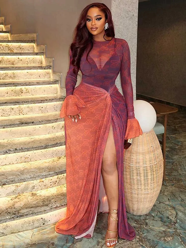 Adele Mesh Maxi Dress