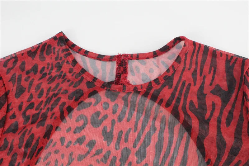 Jillian Leopard Print Mesh Dress