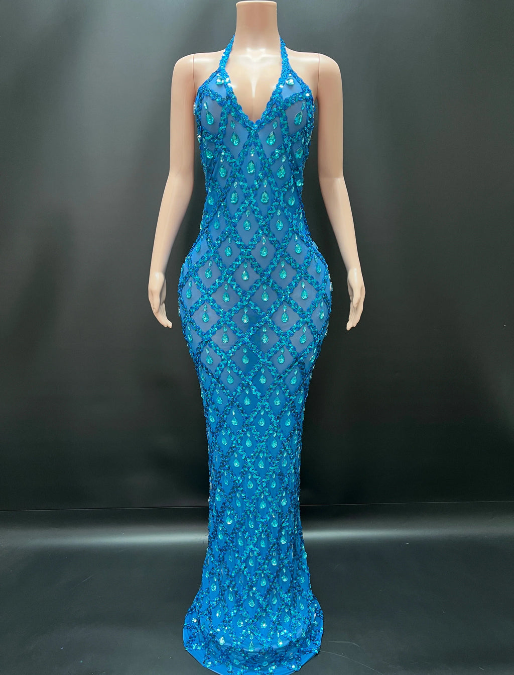 Abi Rhinestone Mesh Maxi Dress