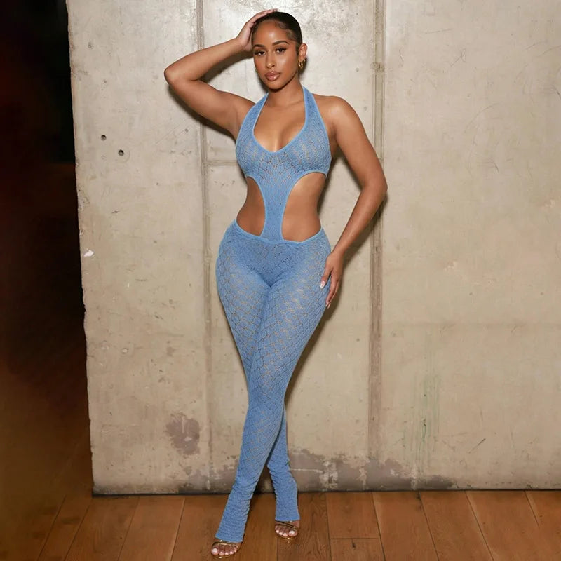 Aslyn Bodycon Jumpsuit