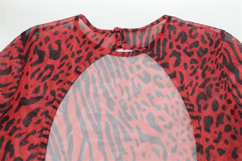 Jillian Leopard Print Mesh Dress