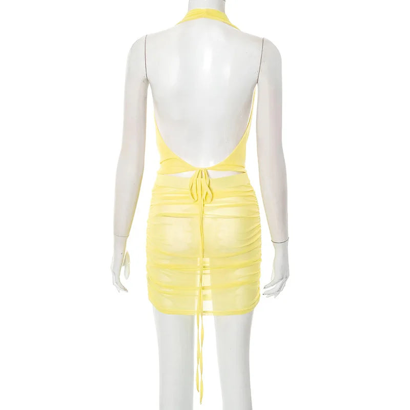 Michella Sheer Pleated Mini Dress