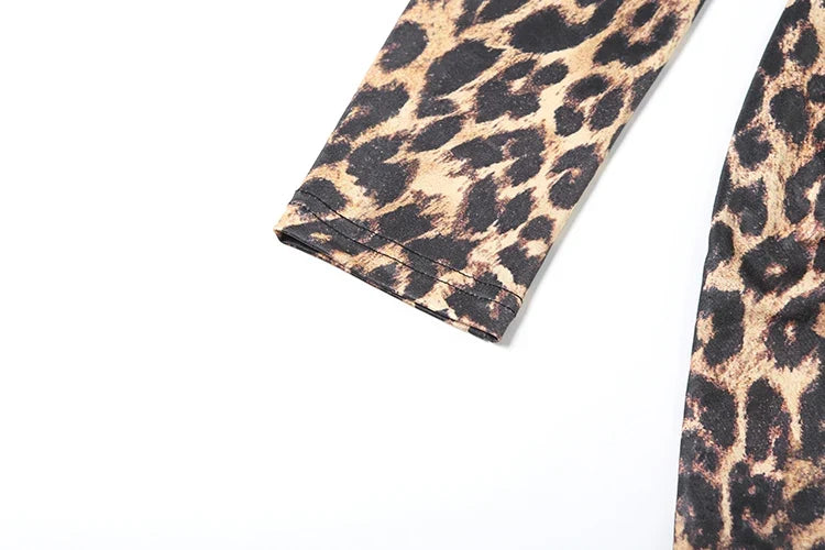 Leopard V-Neck Ruched Dress