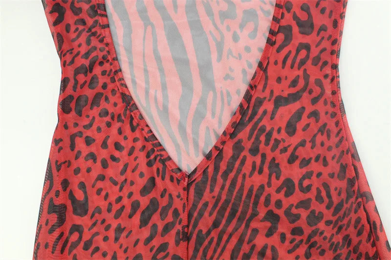 Jillian Leopard Print Mesh Dress
