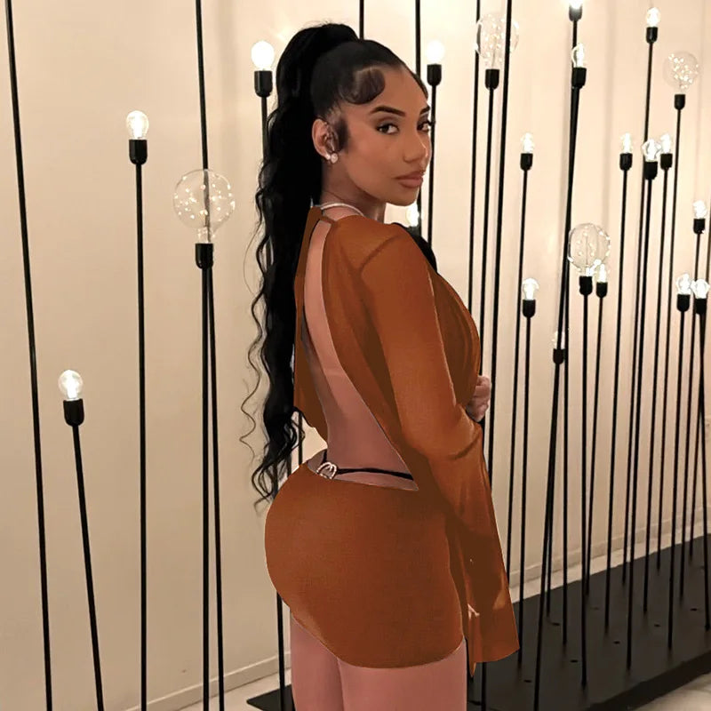 Nevaee Sheer Mesh Mini Dress
