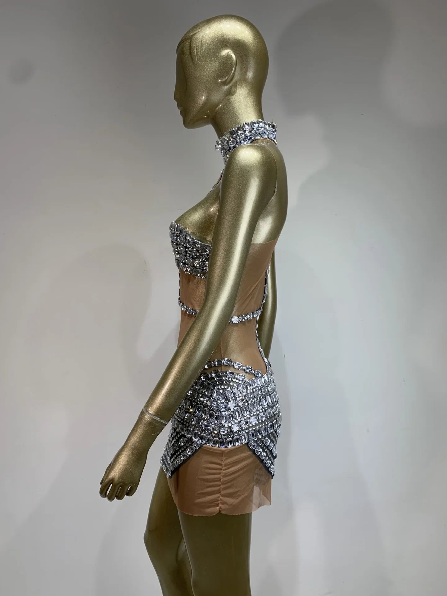 Alissa Mesh Mini Dress