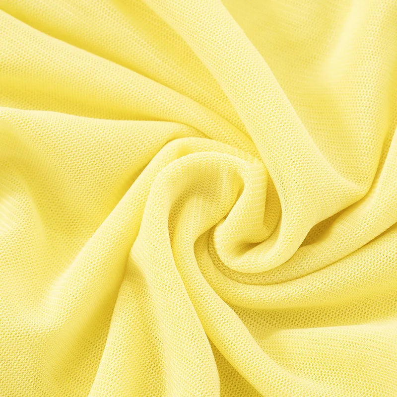 Michella Sheer Pleated Mini Dress