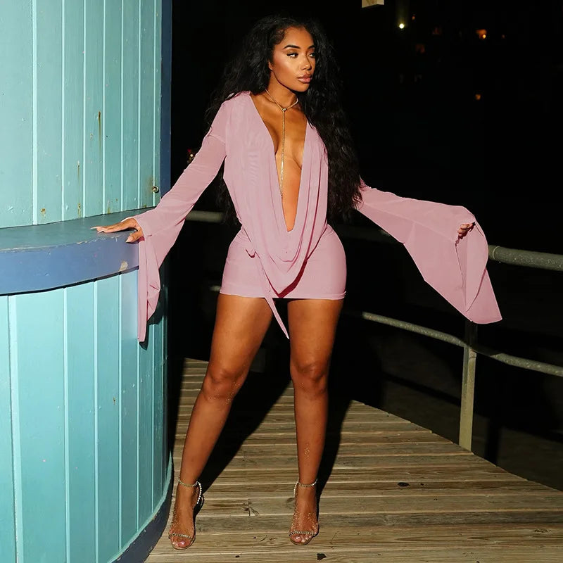 Nevaee Sheer Mesh Mini Dress