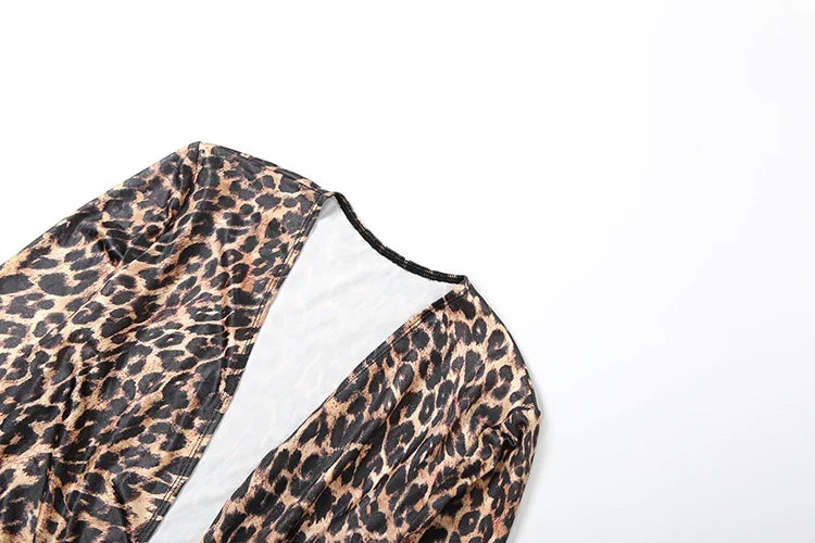 Leopard V-Neck Ruched Dress