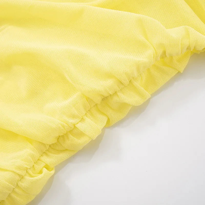 Michella Sheer Pleated Mini Dress