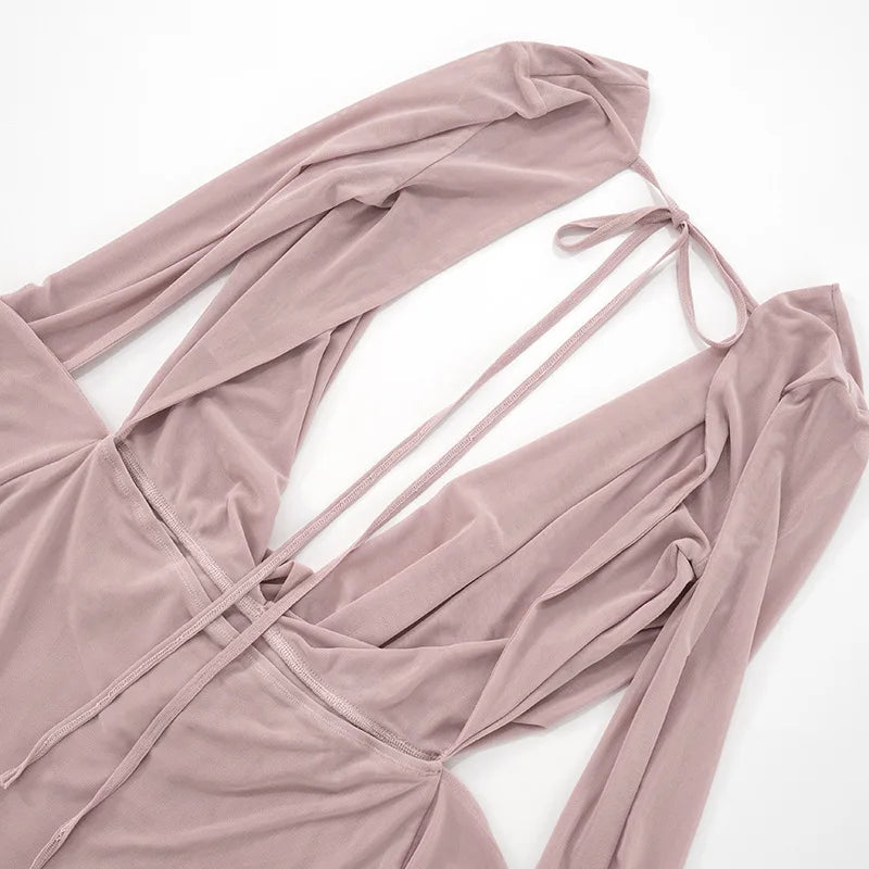 Nevaee Sheer Mesh Mini Dress