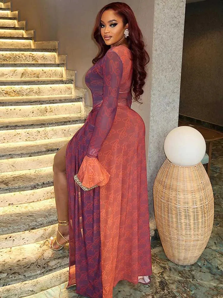 Adele Mesh Maxi Dress