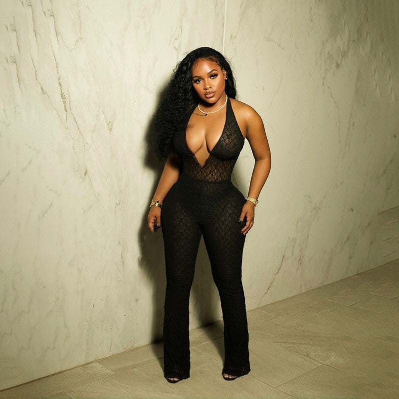 Ali Mesh Jumpsuit