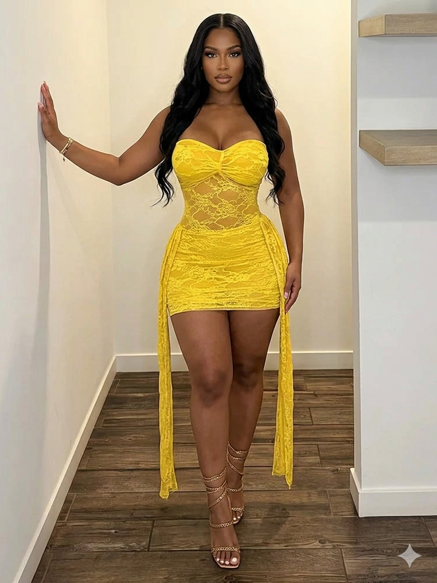 Lili Mesh Tassel Dress