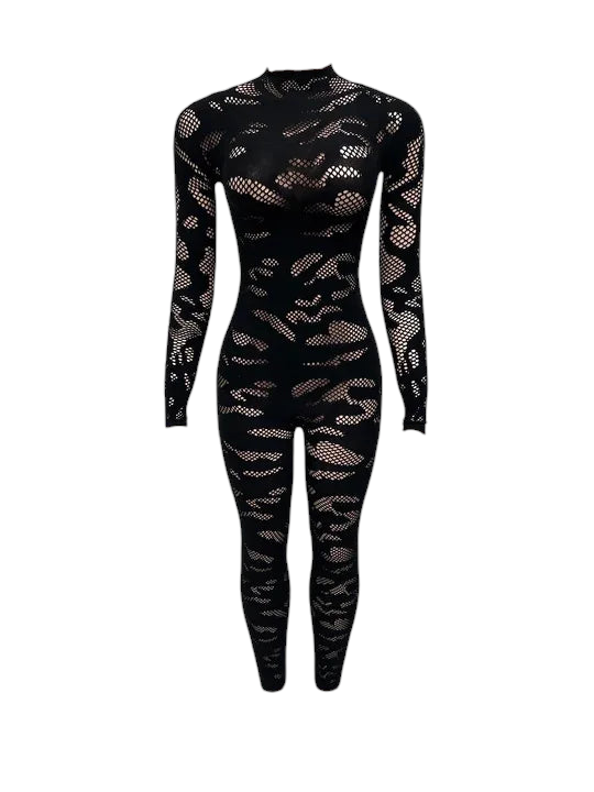 Ayda Mesh Jumpsuit